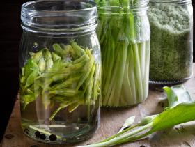 wild_garlic